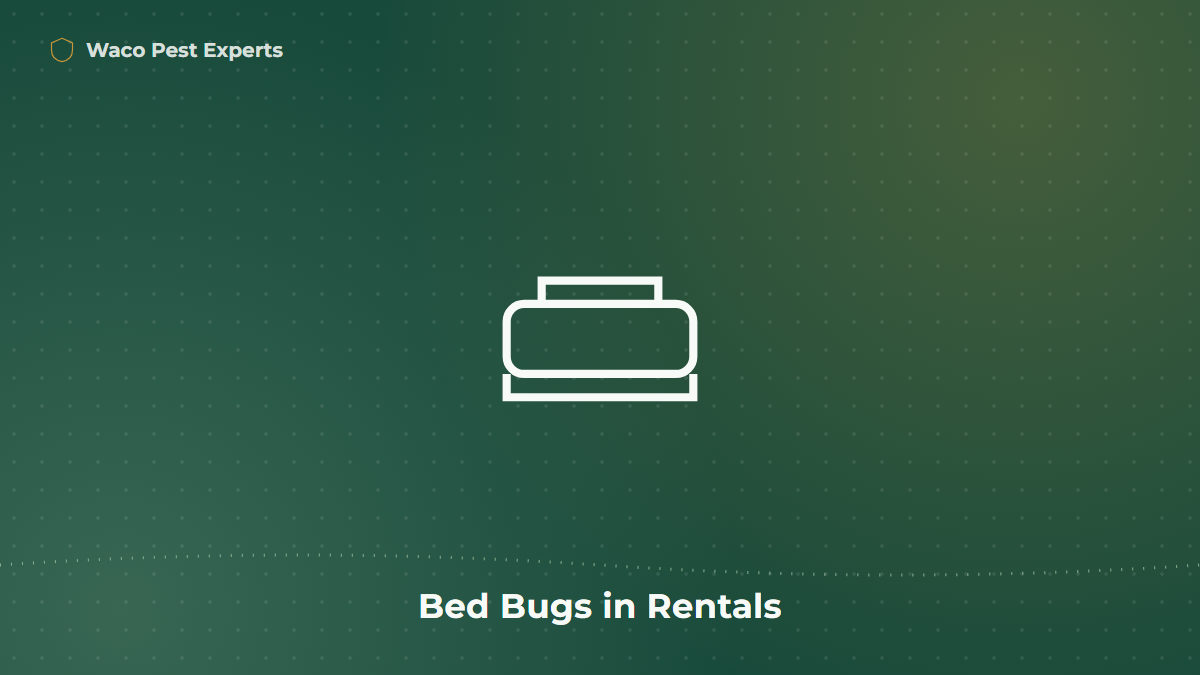 Line illustration of a bed frame representing bed bug concerns in rental properties