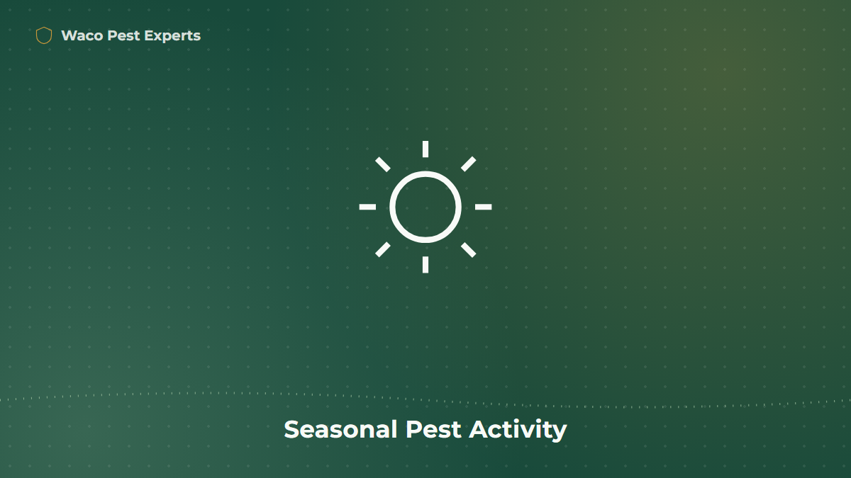 Line illustration representing seasonal weather and pest activity patterns in Central Texas