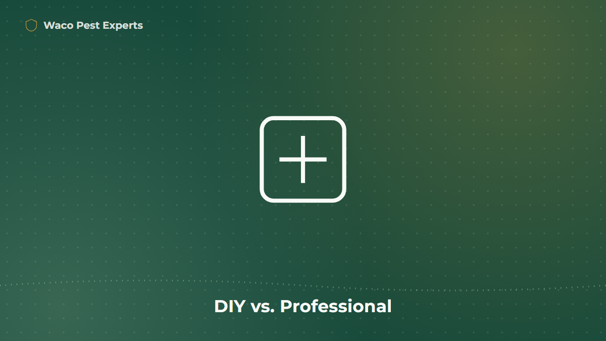Line illustration representing a homeowner decision checklist for DIY versus professional pest control