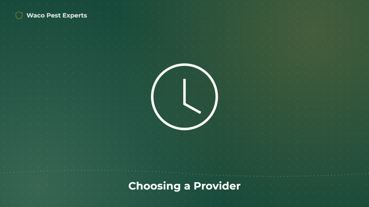 Line illustration of a clock representing the process of choosing a pest control provider in Texas