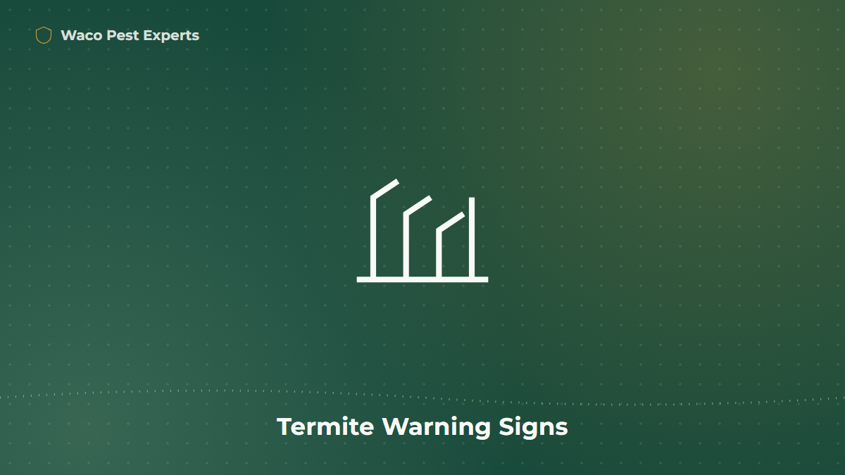 Line illustration representing termite mud tubes and wood damage signs on a Central Texas home