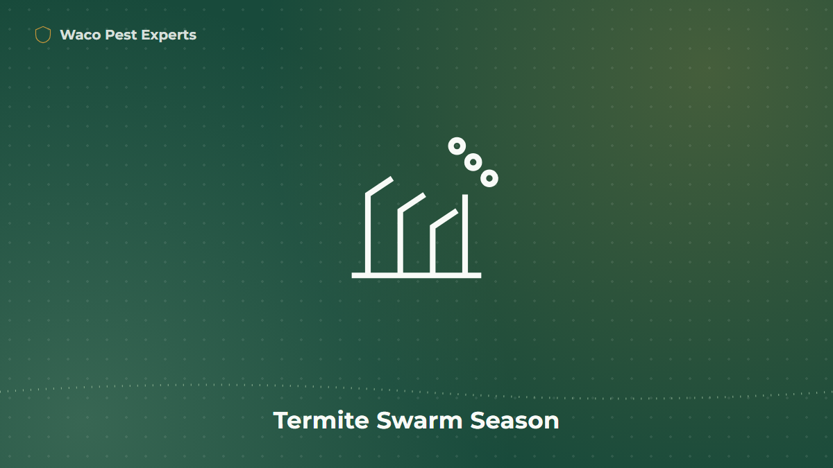 Line illustration representing termite swarmers during Central Texas swarm season